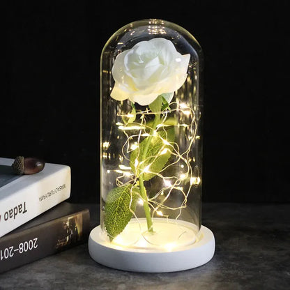 Enchanted Galaxy Eternal Rose