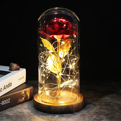 Enchanted Galaxy Eternal Rose